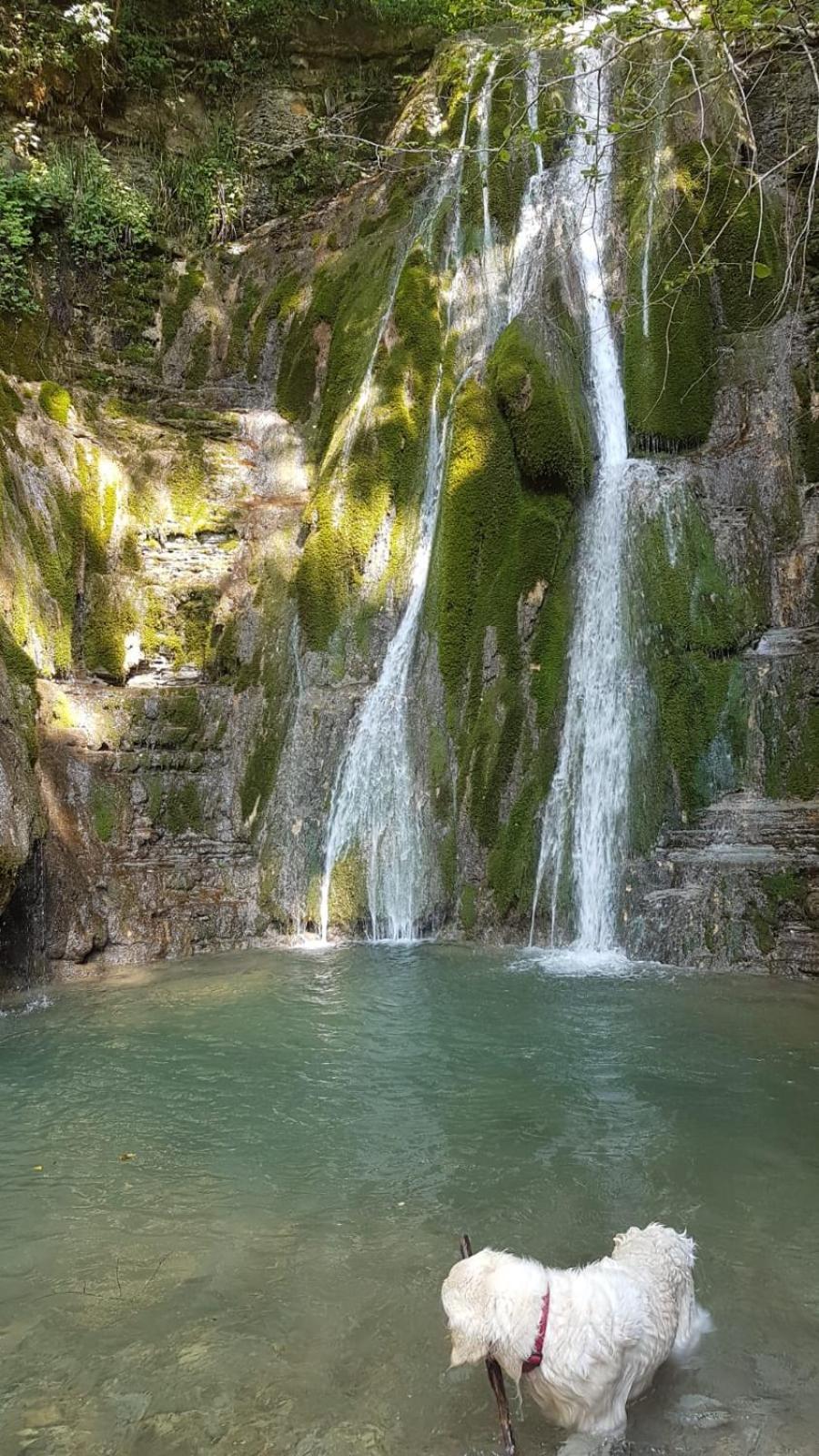 Canal di Grivo Alloggio Petrigh מראה חיצוני תמונה