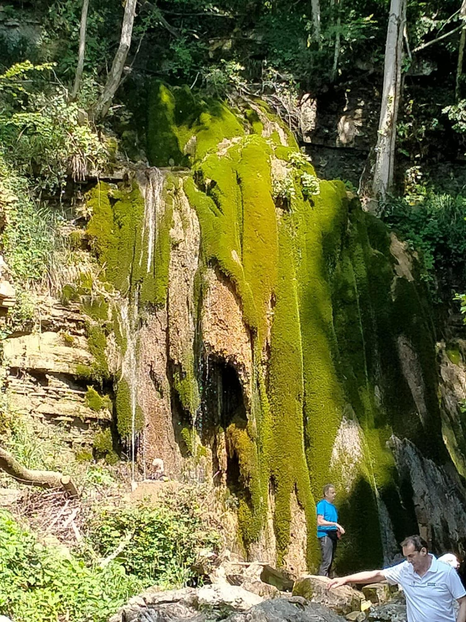 Canal di Grivo Alloggio Petrigh מראה חיצוני תמונה